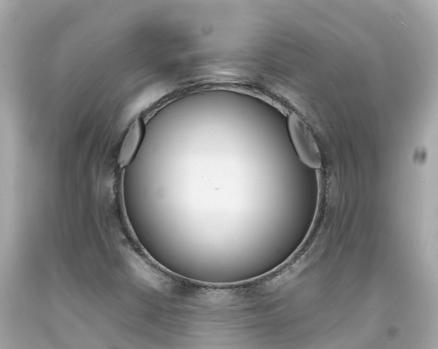 X0000092051402200709121016