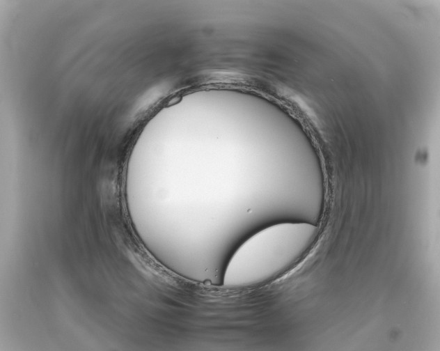 X0000092051403200709121016