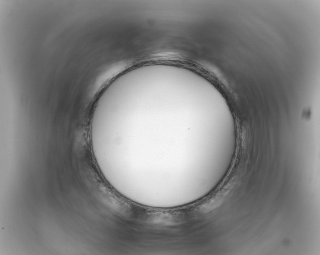 X0000092051405200709121016