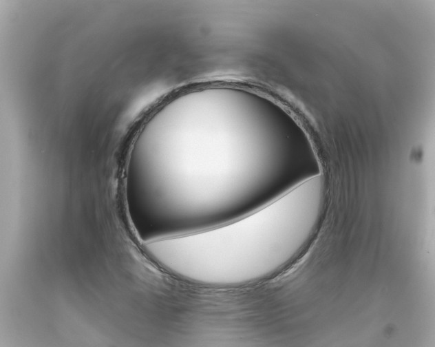 X0000092051406200709121016
