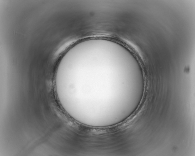 X0000092051407200709121016