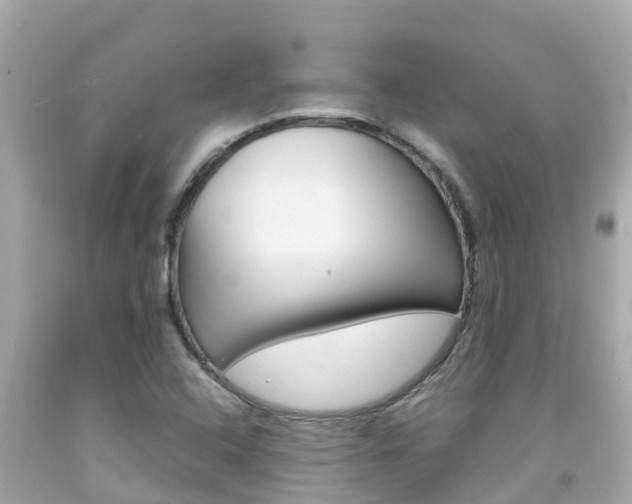 X0000092051408200709121016
