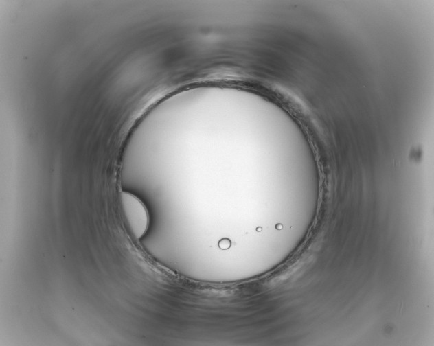 X0000092051409200709121016