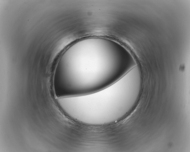 X0000092051410200709121016