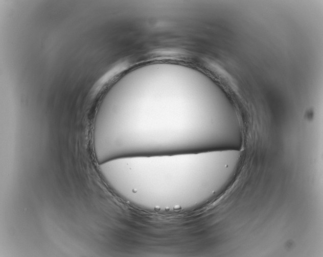 X0000092051411200709121016