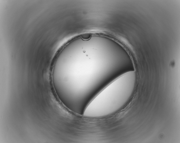 X0000092051412200709121016