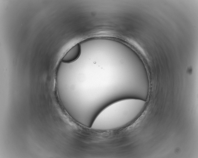 X0000092051413200709121016