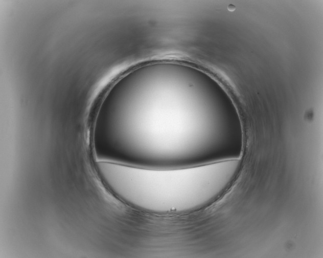 X0000092051414200709121016