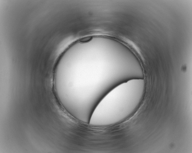 X0000092051415200709121016