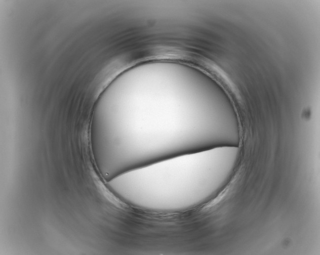 X0000092051417200709121016