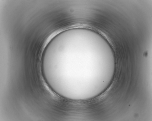 X0000092051418200709121016