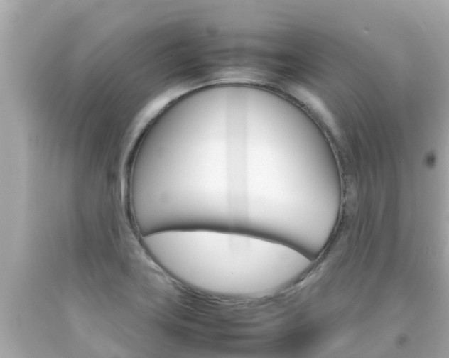 X0000092051419200709121016