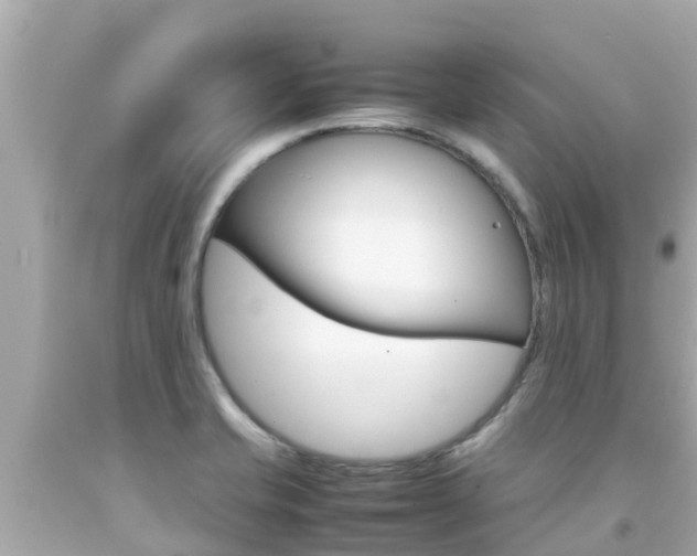 X0000092051421200709121016