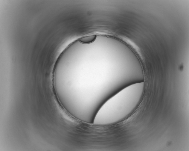X0000092051423200709121016