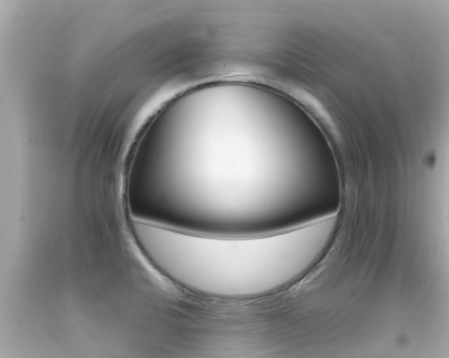 X0000092051424200709121016