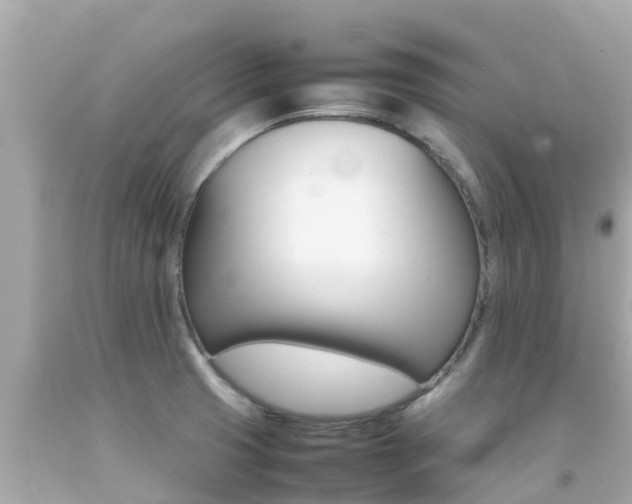 X0000092051425200709121016