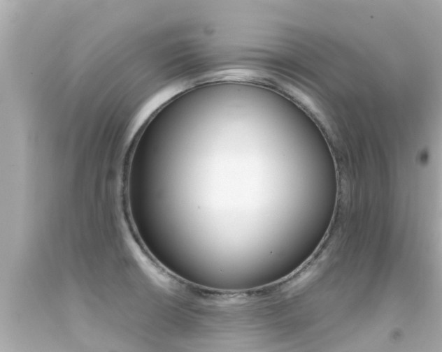 X0000092051426200709121016