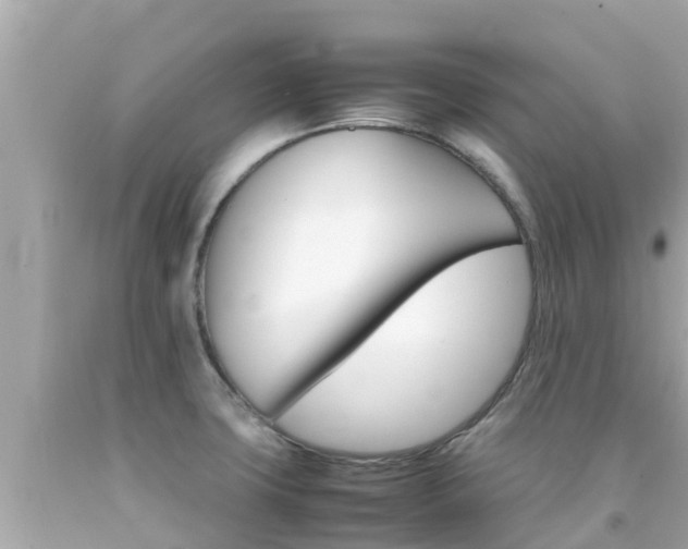 X0000092051427200709121016