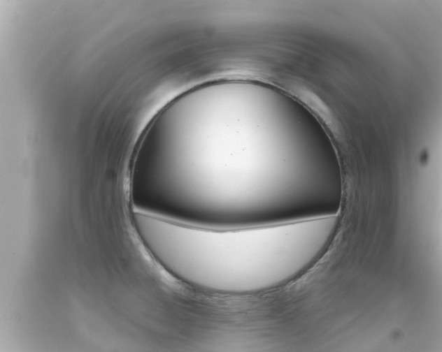 X0000092051428200709121016