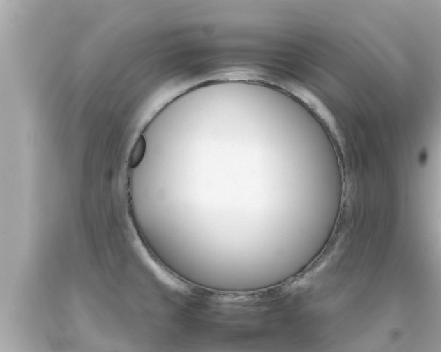 X0000092051429200709121016
