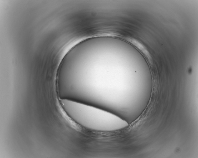 X0000092051431200709121016