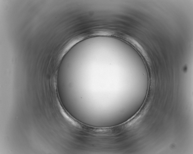 X0000092051433200709121016