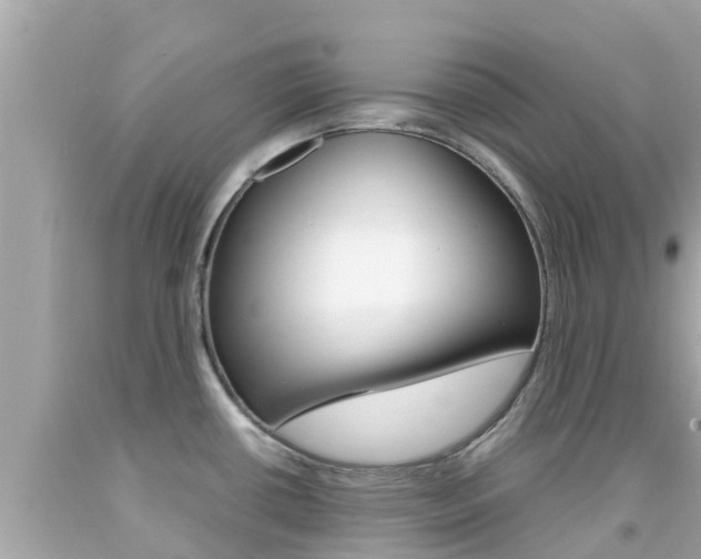 X0000092051434200709121016