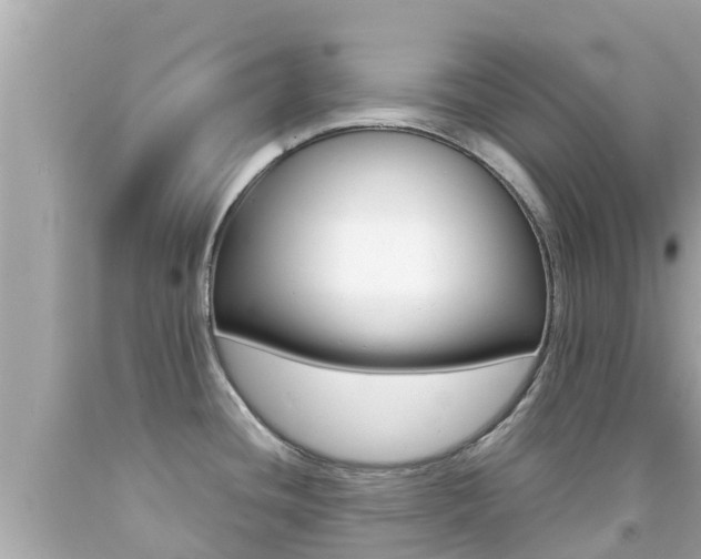 X0000092051436200709121016