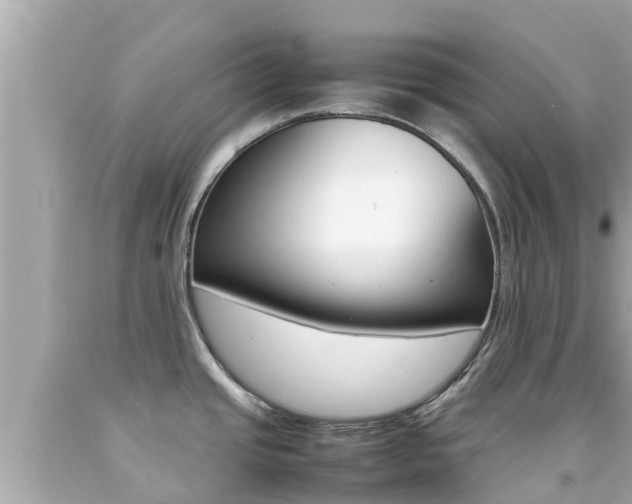 X0000092051437200709121016