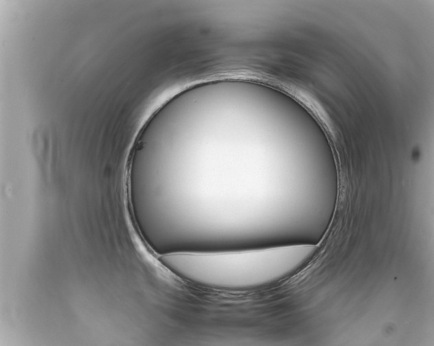X0000092051439200709121016