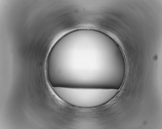 X0000092051440200709121016