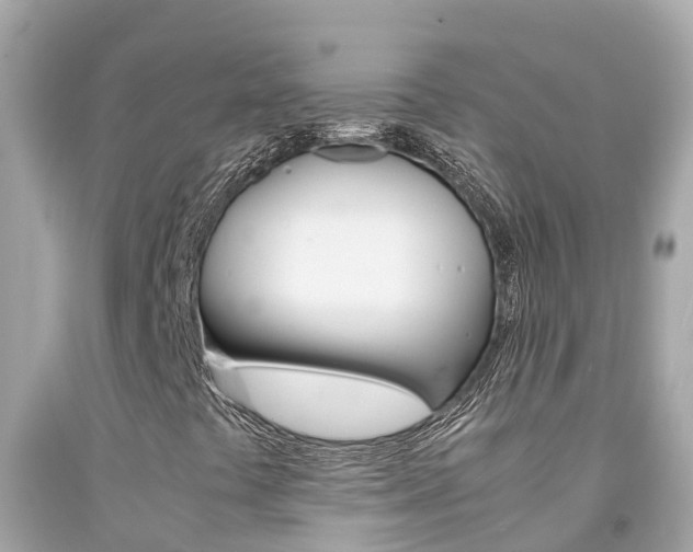 X0000092051441200709121016