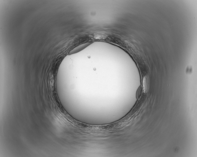 X0000092051443200709121016