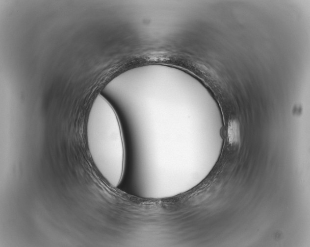 X0000092051444200709121016