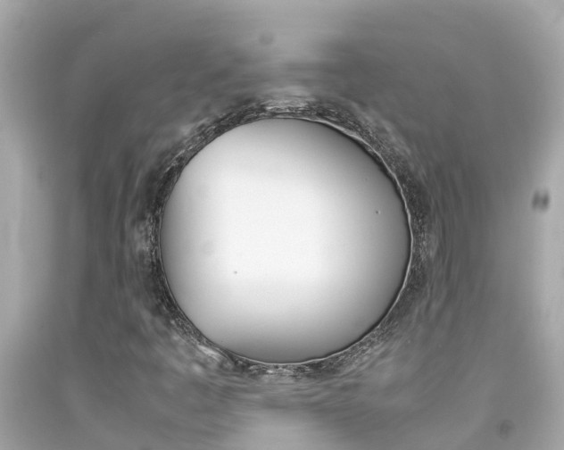 X0000092051445200709121016