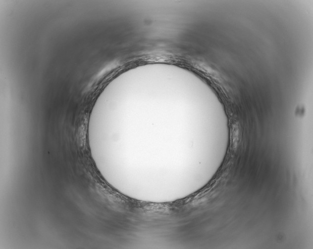 X0000092051446200709121015