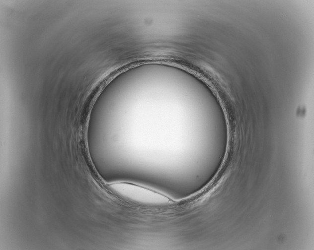 X0000092051449200709121015