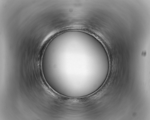 X0000092051450200709121015