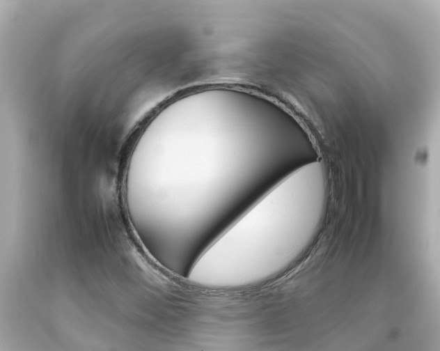 X0000092051452200709121015