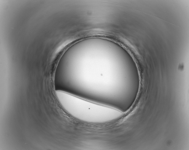 X0000092051453200709121015