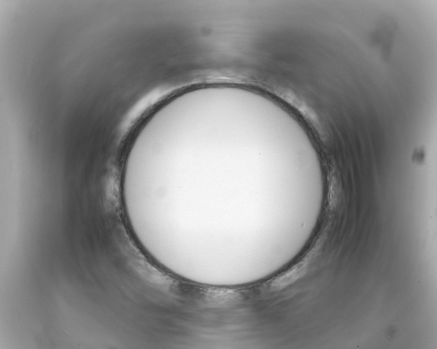 X0000092051454200709121015