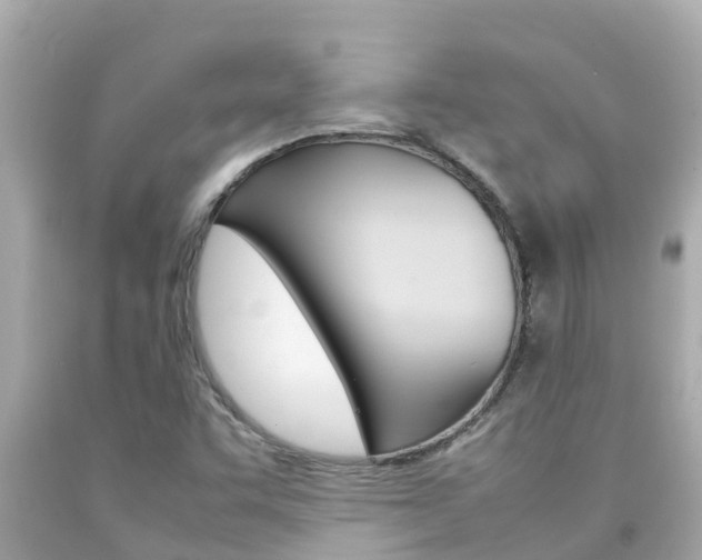 X0000092051455200709121015