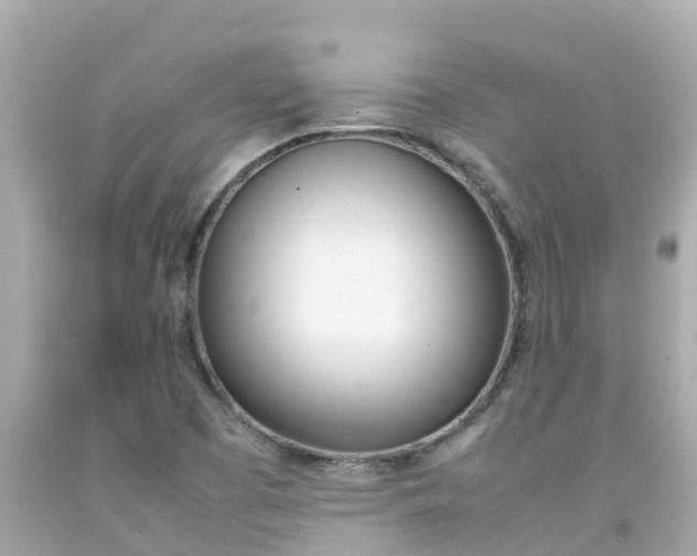 X0000092051457200709121015