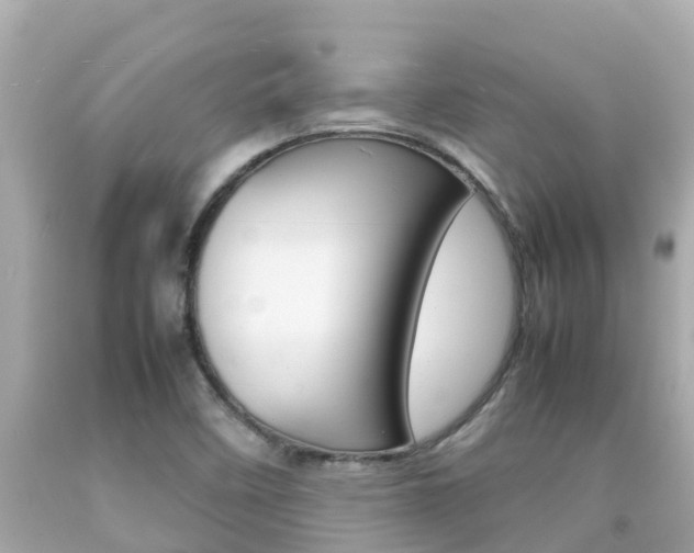 X0000092051458200709121015