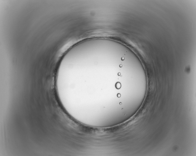 X0000092051459200709121015