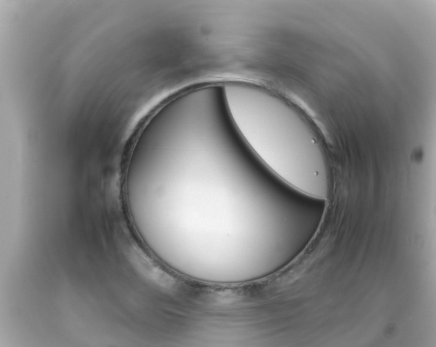 X0000092051460200709121015