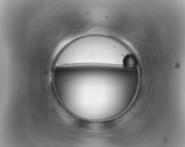 X0000092051461200709121015