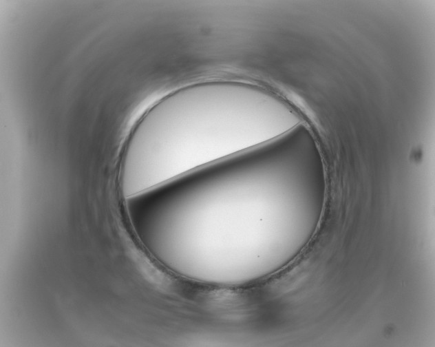 X0000092051463200709121015