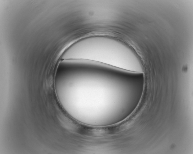 X0000092051465200709121015