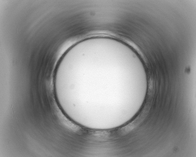 X0000092051466200709121015